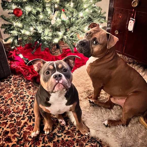 Meet your Posher, Jess - Picture 2 of 14